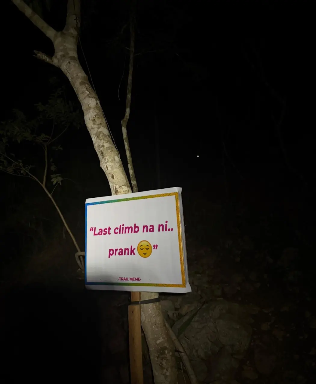Danao City International Ultra Trail · 100K · 2026 — journal moment 15 of 15