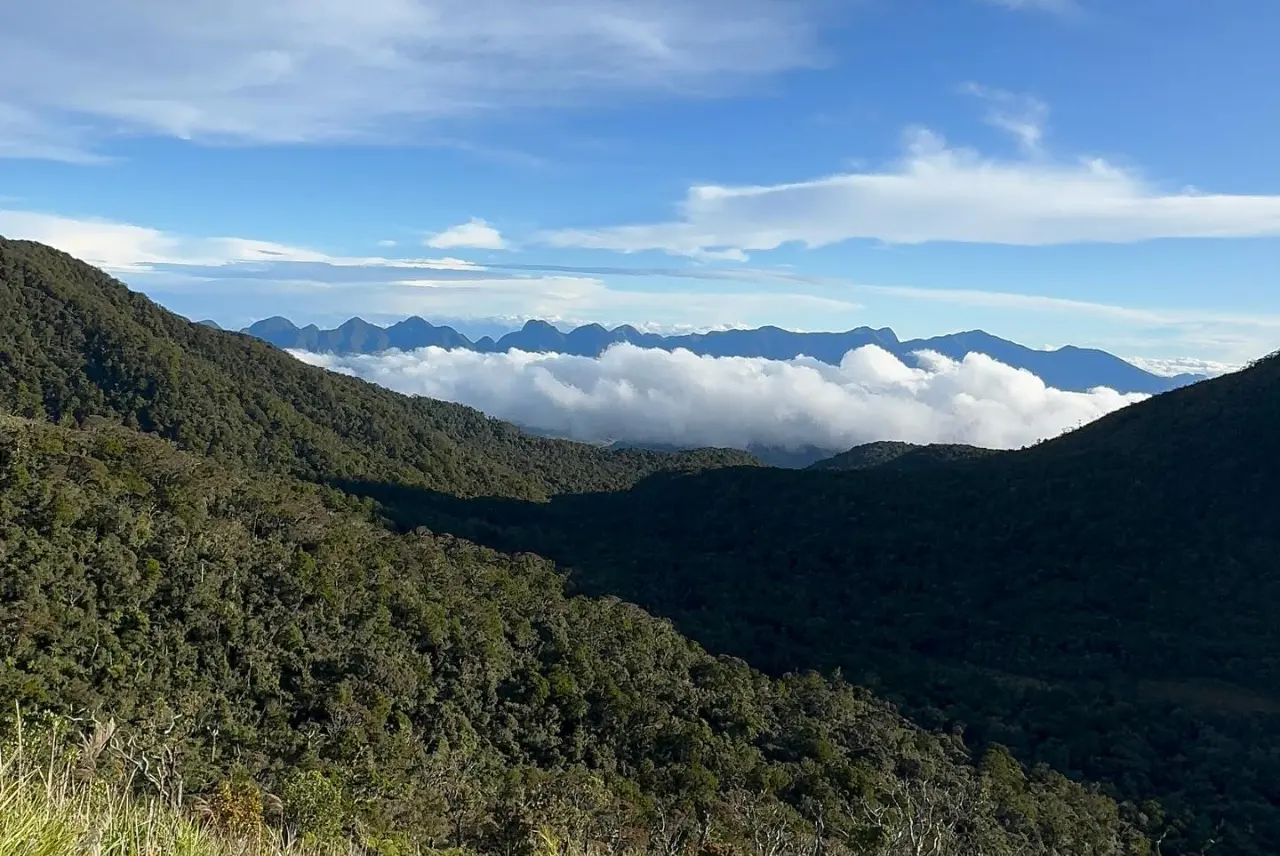 Mt. Kalatungan Ultra Trail · 55K · 2025 — journal moment 6 of 6